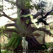Esprit de la foret